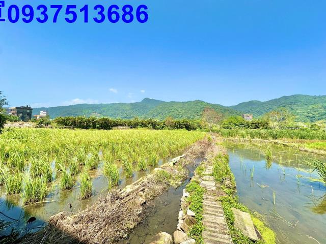 宜蘭頭城農地-8