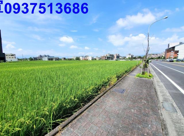 宜蘭宜蘭市農地-9