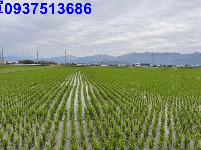 宜蘭壯圍農地-9