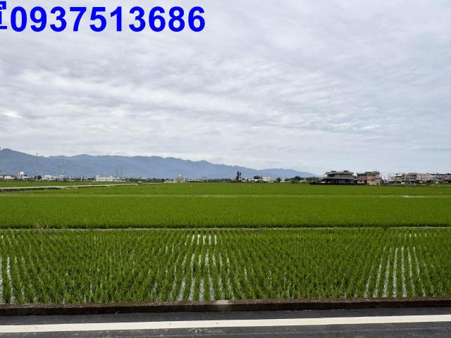宜蘭壯圍農地-11