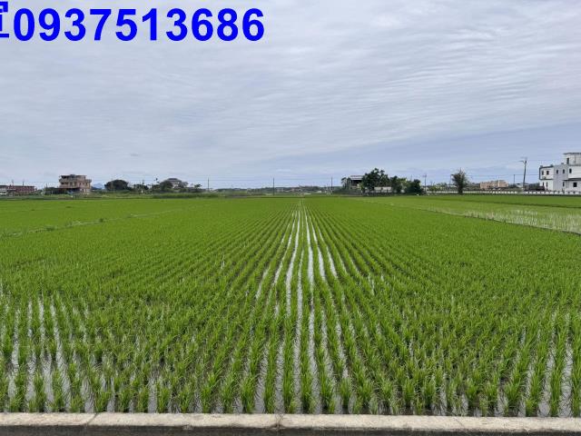 宜蘭壯圍農地-12