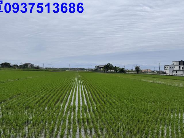 宜蘭壯圍農地-13