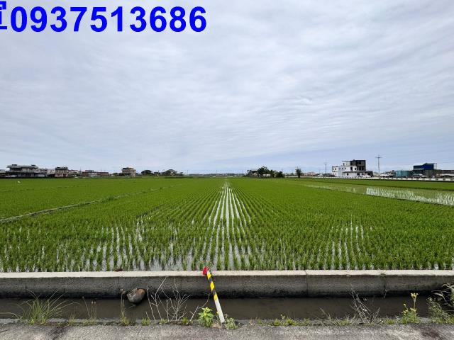 宜蘭壯圍農地-1