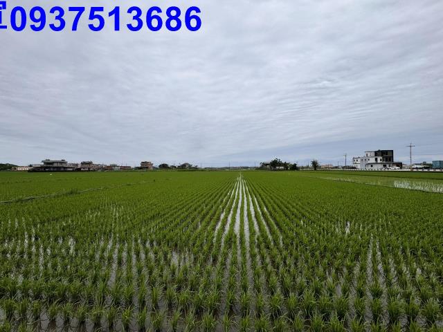 宜蘭壯圍農地-2