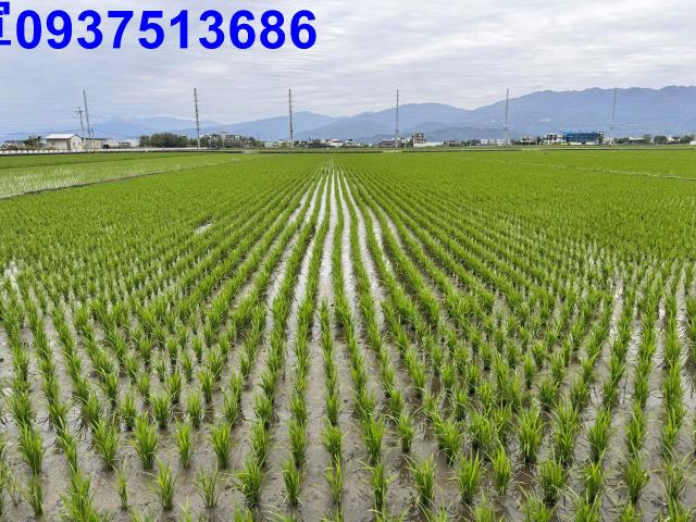 宜蘭壯圍農地-4