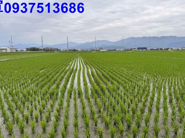 宜蘭壯圍農地-5