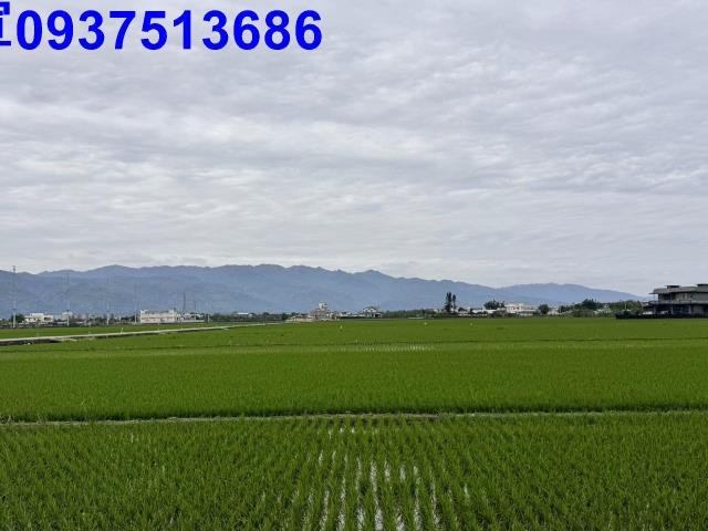 宜蘭壯圍農地-6