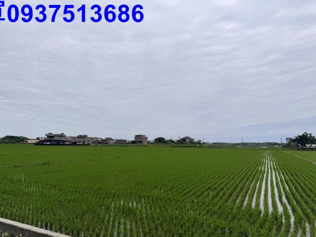 宜蘭壯圍農地-7