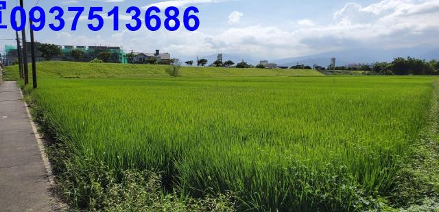 宜蘭宜蘭市農地-12