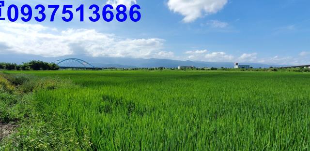 宜蘭宜蘭市農地-13