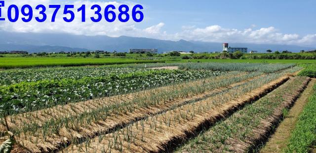 宜蘭宜蘭市農地-8
