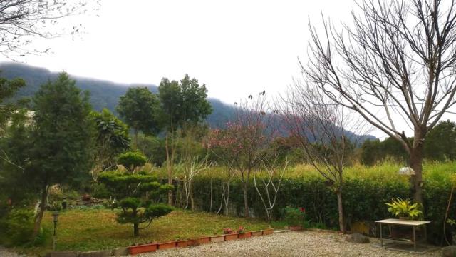 桃園大溪農地-5