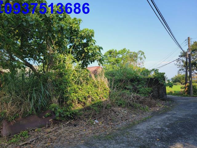 宜蘭冬山建地-7