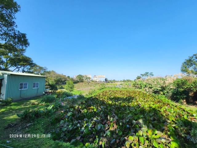 桃園大溪農地-4