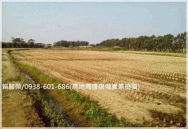 楊梅民有路二段美農地