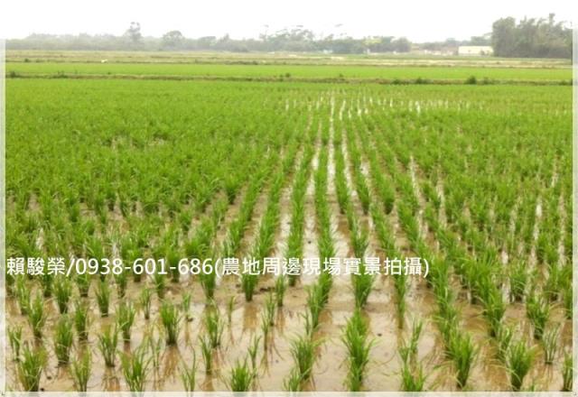 楊梅民有路二段美農地