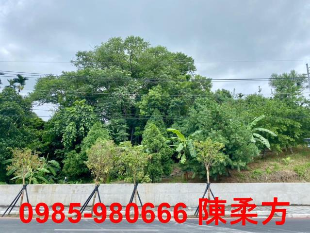 東區農地-0