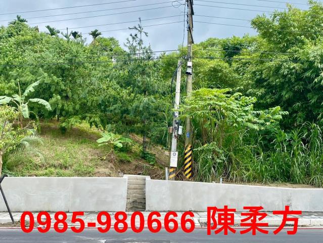 東區農地-4