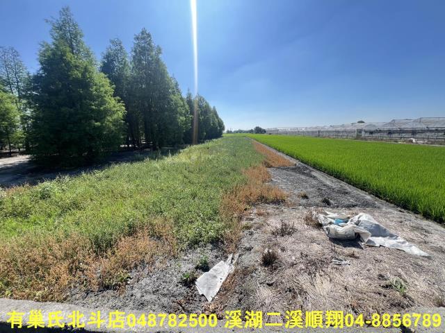 溪州農地-3