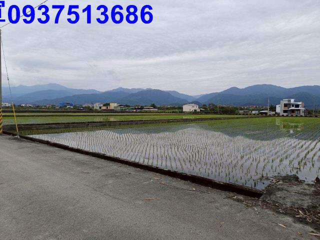 宜蘭三星農地-9