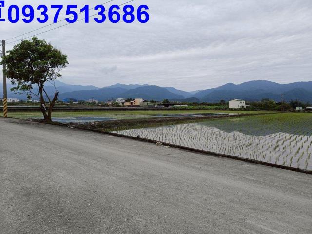 宜蘭三星農地-5
