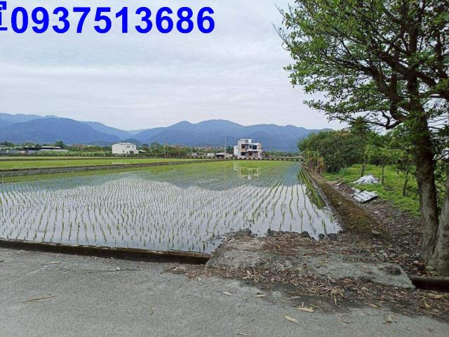 宜蘭三星農地-7