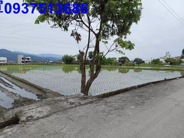 宜蘭三星農地-1