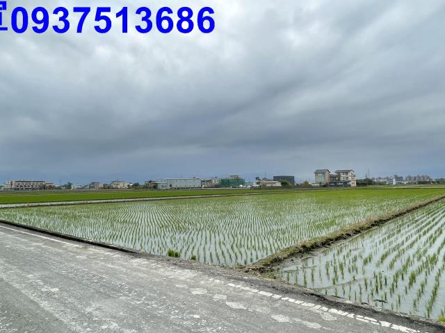 宜蘭宜蘭市農地-0