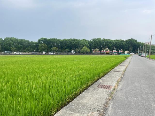 嘉義西區農地-2