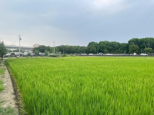 嘉義西區農地-3
