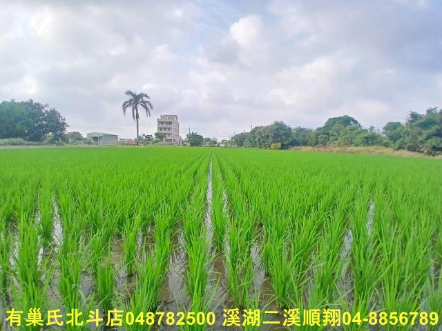 彰化和美農地-3