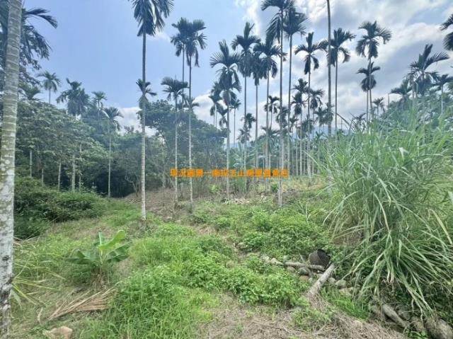 南投農地-4