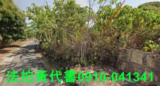 高雄田寮法拍農地-5