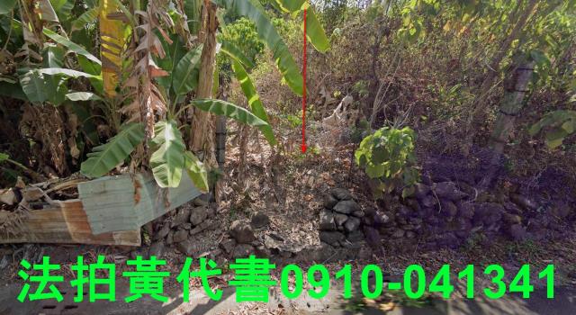 高雄田寮法拍農地-8