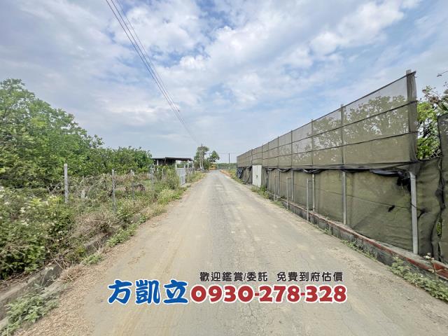 麻豆農地-8