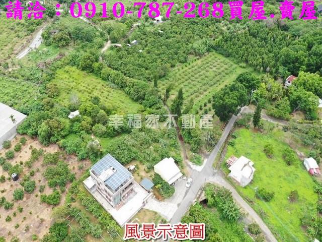台南大內農地-2