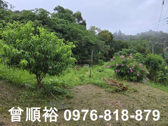 新竹寶山農地-3