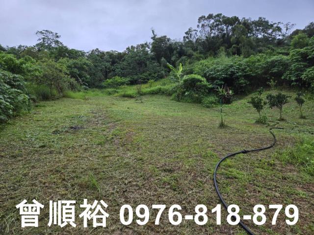 新竹寶山農地-6
