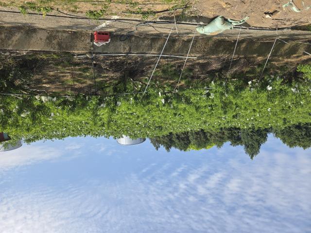 東勢農地-0