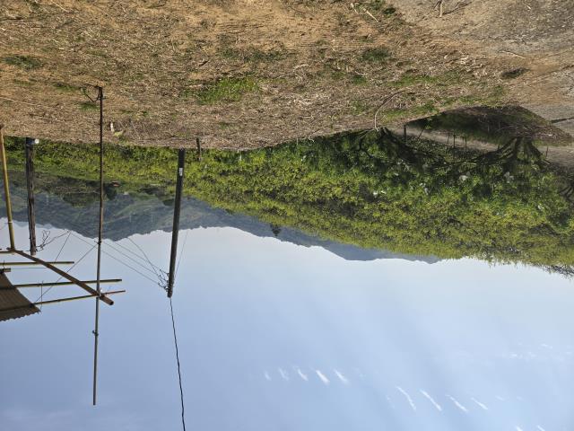 東勢農地-1
