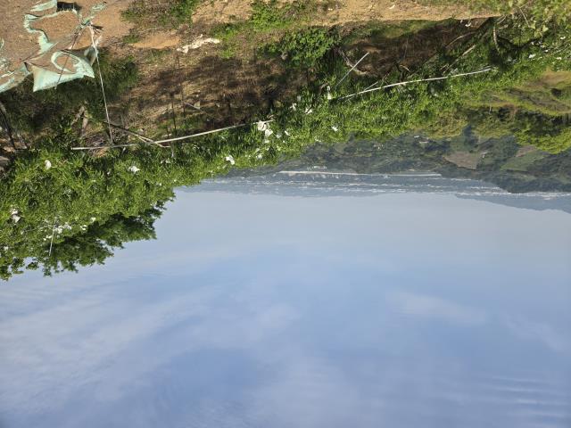 東勢農地-2