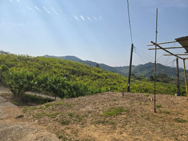 東勢農地-2