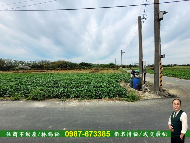仁德農地-1