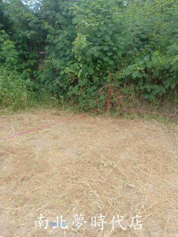 新化農地-11