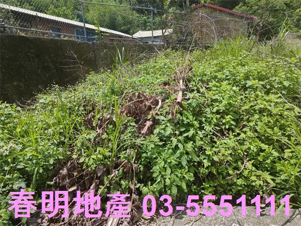 新竹建地-6
