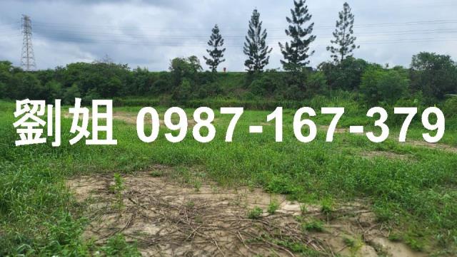 台南新化農地-0