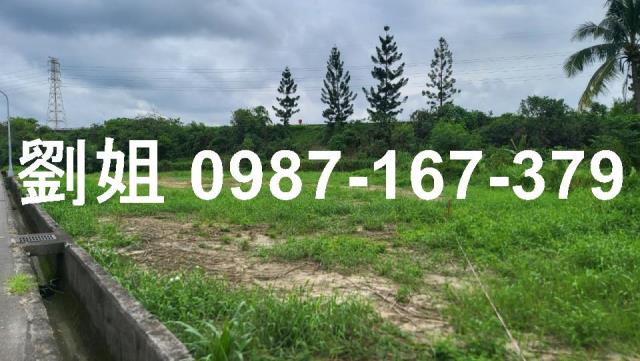 台南新化農地-2