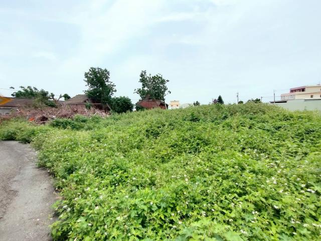 彰化埔鹽建地-1