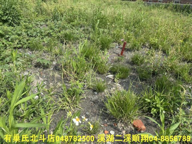 秀水農地-9