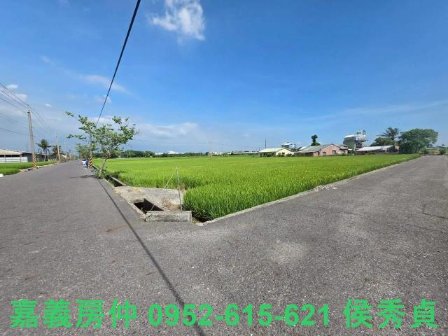 六甲農地-5